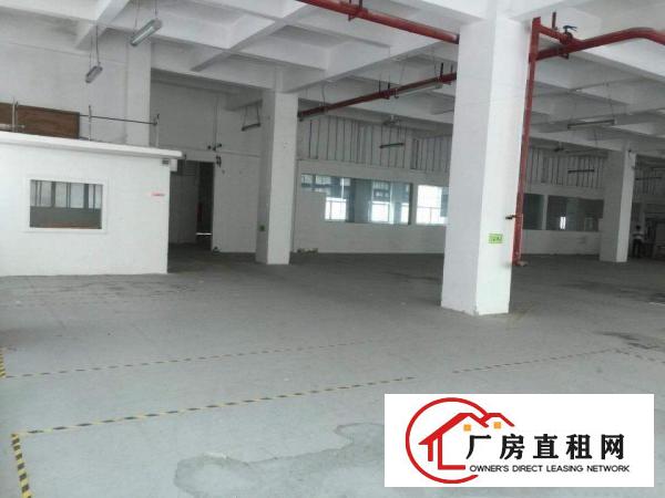 
		龙华新区民乐科技园一楼二楼隆重出租
	