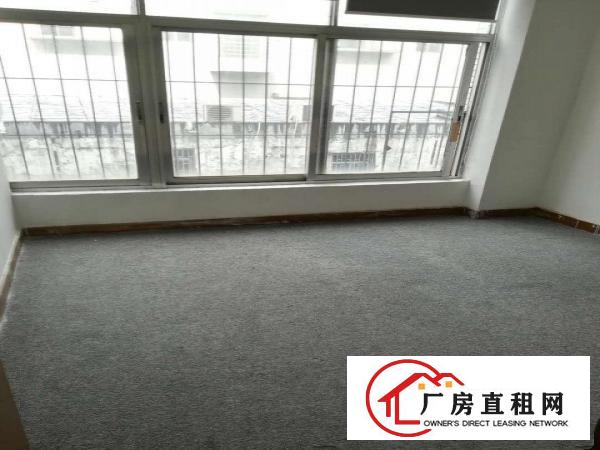 
		华强北65平方的办公室，双面采光，仅租5200元每月
	