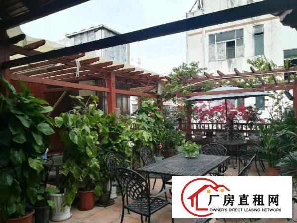 
		上梅林地铁口附近办公室90平，带豪华装修
	