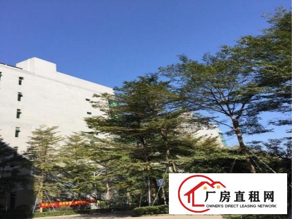
		宝安兴东地铁站站高新科技园1200平米厂房出租
	