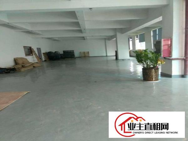 
		出租宝安新安厂房
	