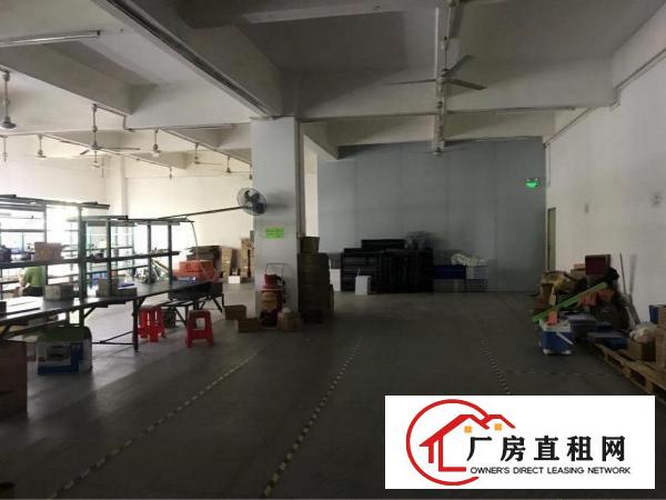 
		西乡固戍航城大道516平厂房
	