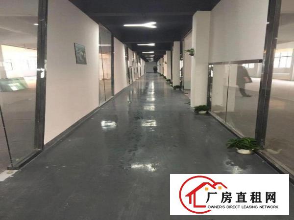 
		5号线兴东地铁口办公厂房1000平出租（可分租）
	