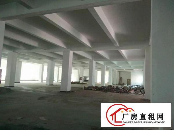 
		5号线兴东地铁口办公厂房1000平出租（可分租）
	