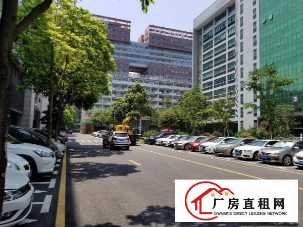 
		兴东地铁口无公摊1200平方招租
	