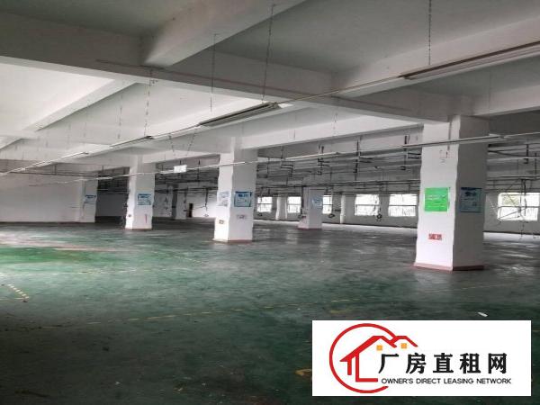 
		兴东地铁口无公摊1200平方招租
	