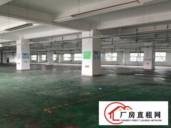 
		兴东地铁口无公摊1200平方招租
	