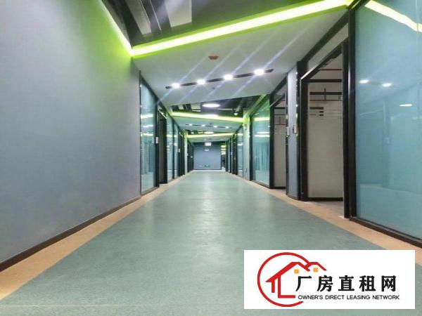 
		直租兴东地铁口2200平大小可组合精装毛坯均有
	