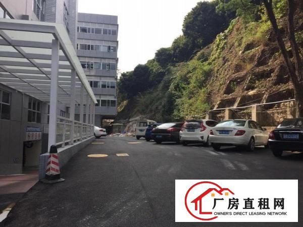 
		精装修全玻璃高档形象写字楼2000平仅租46元
	