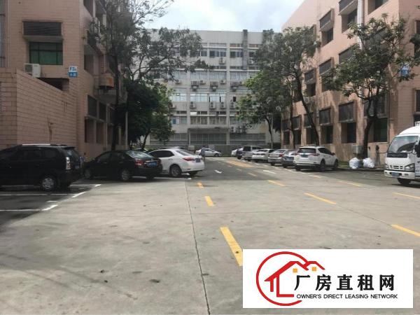 
		兴东地铁站800米花园式红本厂房楼上1300
	