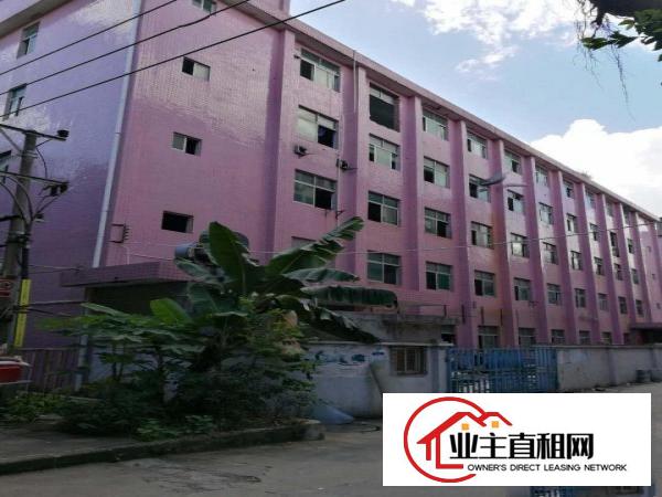 
		南头关口旁边工业区6000平米厂房出租
	