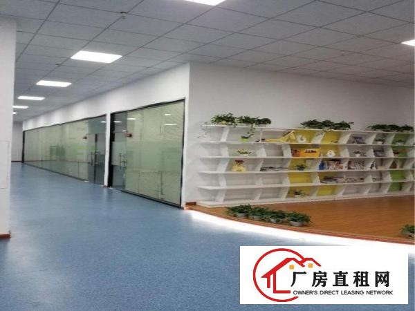 
		全新豪华办公室出租（带装修，可分租）
	