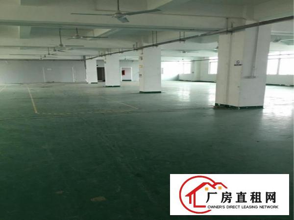 
		大型工业区豪华装修二楼1600平方米
	