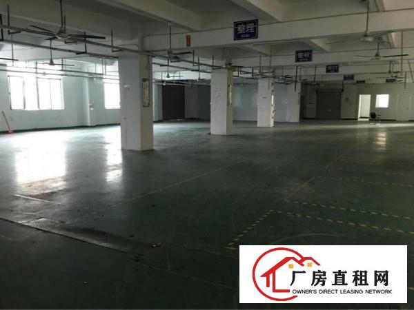 
		大型工业区豪华装修二楼1600平方米
	