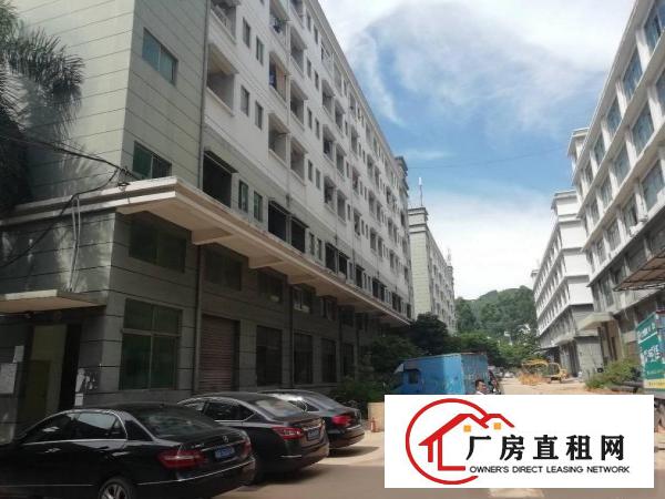 
		西乡黄田靠近福永兴围，三梯厂房两栋宿舍可以分层租
	