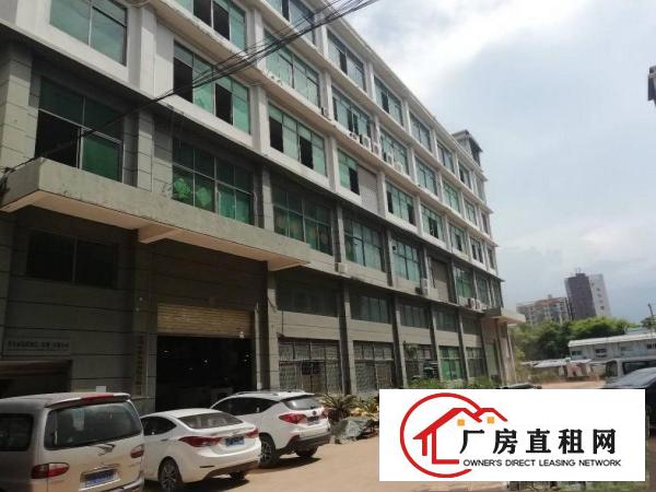 
		西乡黄田靠近福永兴围，三梯厂房两栋宿舍可以分层租
	