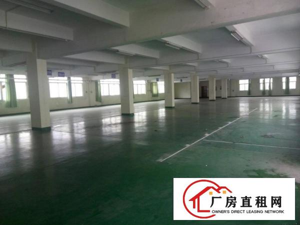 
		固戍，300到1000，2000平厂房，仓库，
	