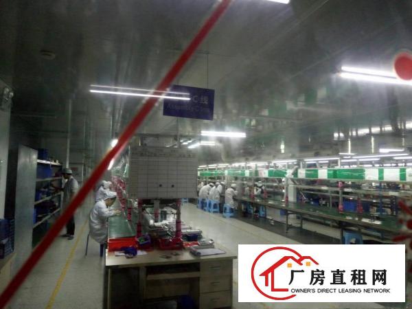 
		地段好，楼层高，大货梯，出车方便，宜招工，
	
