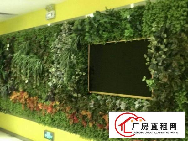 
		楼层高，格式正规，装修好，
	