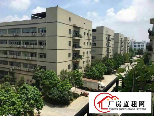 
		楼层高，格式布局好，进出方便，
	