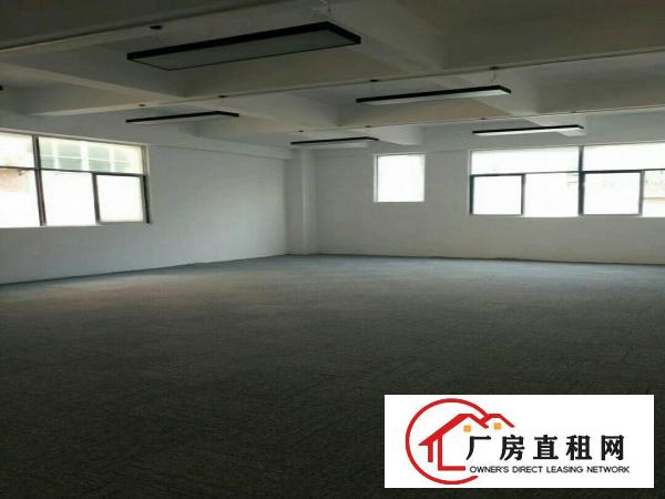 
		楼层高，格式布局好，进出方便，
	