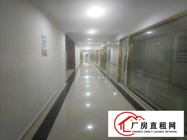 
		采光好，房子格式好，可分租，好隔断
	