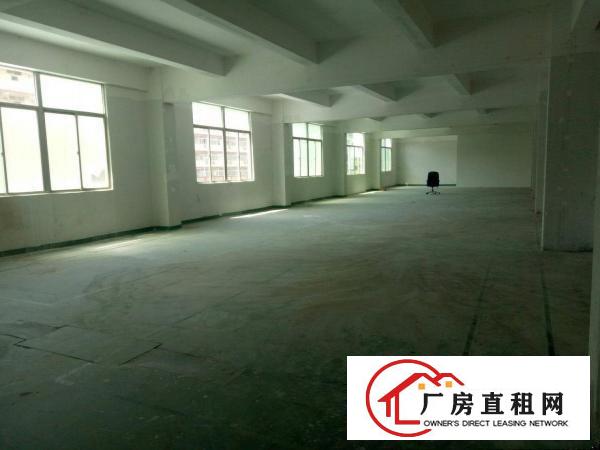 
		厂房装修漂亮，格局好，
	