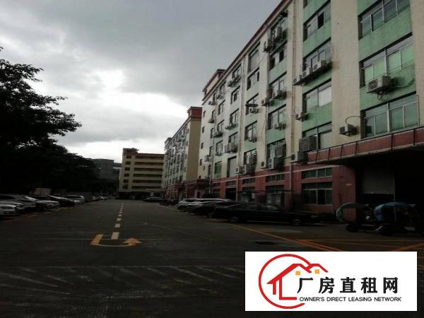 
		洲石路九围工业园区新出一楼900平厂房招租面积实在
	