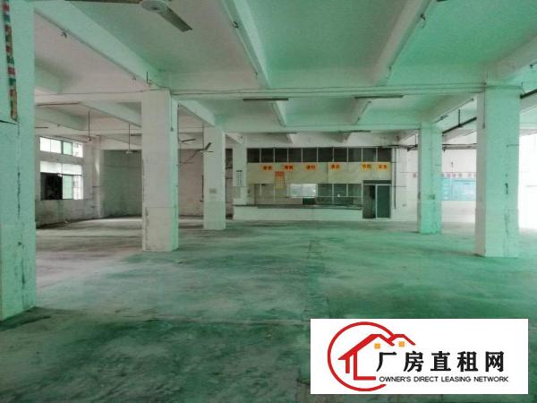 
		洲石路九围工业园区新出一楼900平厂房招租面积实在
	
