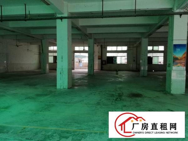 
		洲石路九围工业园区新出一楼900平厂房招租面积实在
	