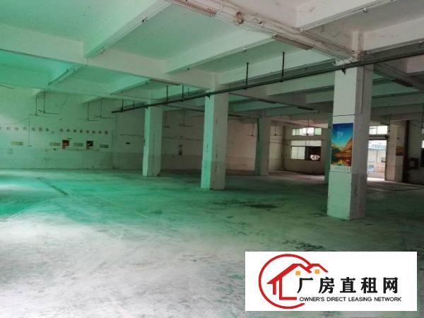 
		洲石路九围工业园区新出一楼900平厂房招租面积实在
	