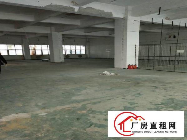 
		大型工业园内一楼120一1800平米大小户型实用装
	