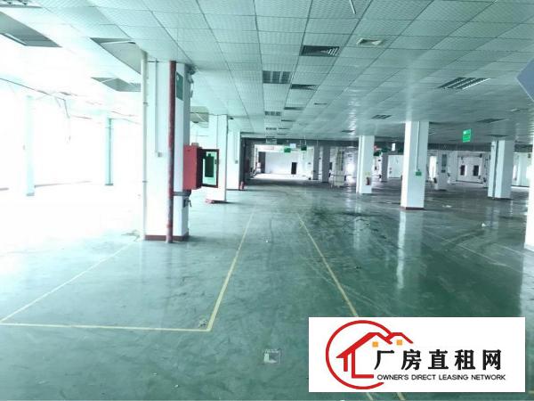 
		福永大洋田红本独院厂房22000平大小分租面积实在
	