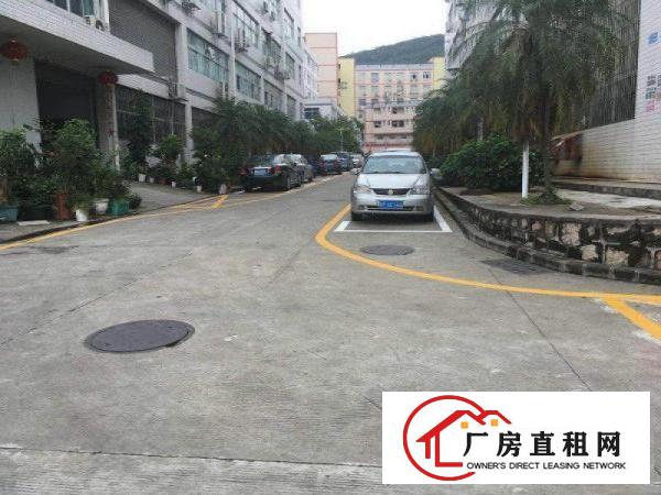
		西乡簕竹角1500平整层出租价格23
	
