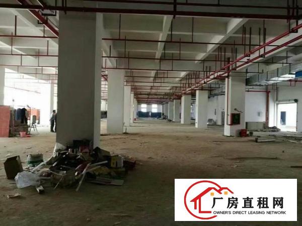 
		《全新》厂房32000平方米招租
	
