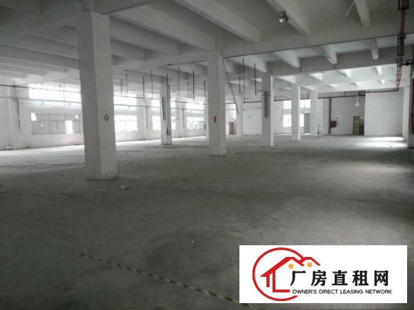 
		沙井新桥高速路口独院厂房11500平米可分层招租
	
