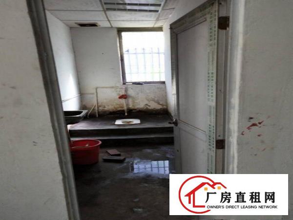 
		沙井新桥高速出口标准厂房1楼6米带牛角500平招租
	