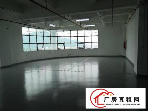 
		沙井沙一1500独栋（带装修）可分租
	