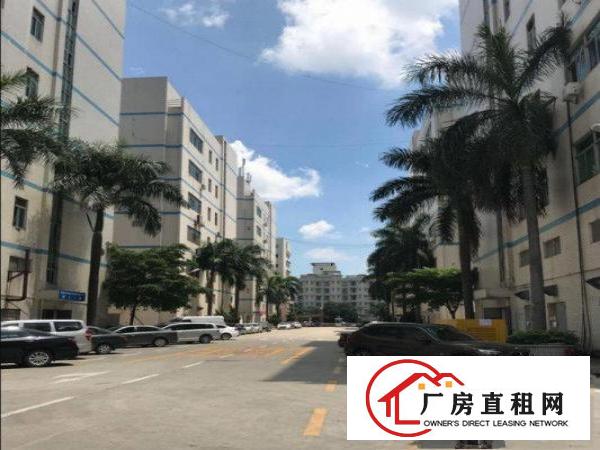 
		沙井沙一1500独栋（带装修）可分租
	