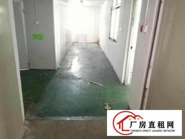 
		新桥二楼400平带2吨货梯，产证齐全，可环评
	