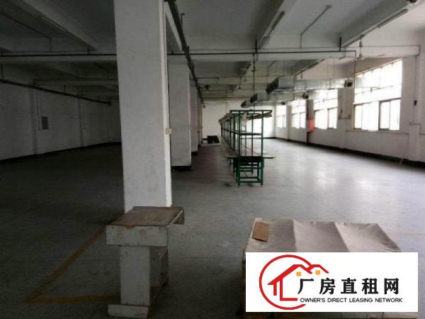 
		沙井步涌新出楼上2350平方带装修厂房
	