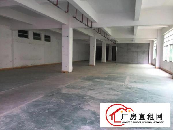 
		沙井步涌新出楼上2350平方带装修厂房
	