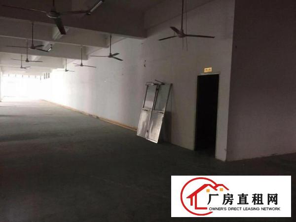 
		沙井步涌新出楼上2350平方带装修厂房
	