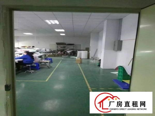 
		松岗江边新出楼上980平带豪华装修厂房
	