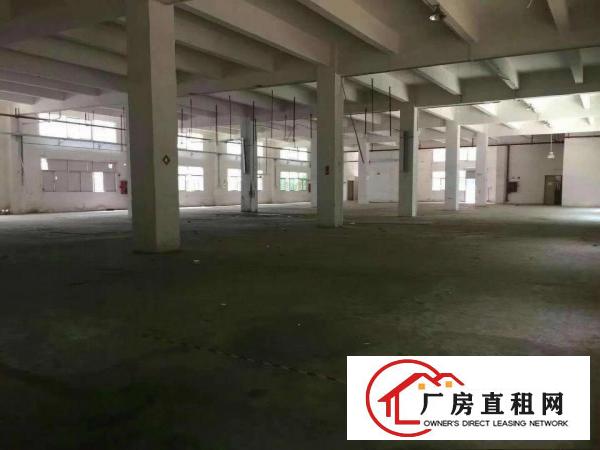 
		松岗罗田市场旁新出独院厂房10400平方大小分组
	