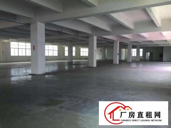
		松岗罗田市场旁新出独院厂房10400平方大小分组
	