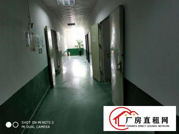 
		松岗沙浦1100平厂房出租，产证齐全，公摊小，实图
	