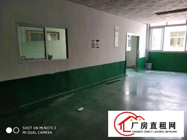 
		松岗沙浦1100平厂房出租，产证齐全，公摊小，实图
	