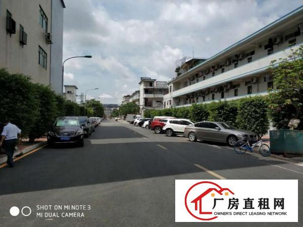 
		松岗沙浦1100平厂房出租，产证齐全，公摊小，实图
	