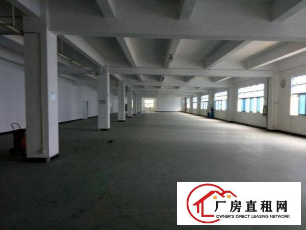 
		松岗塘下涌5600平大厂房出租，独门独院，实图
	